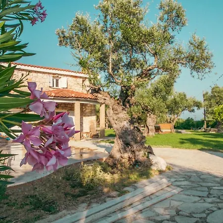 Il Greco Villa